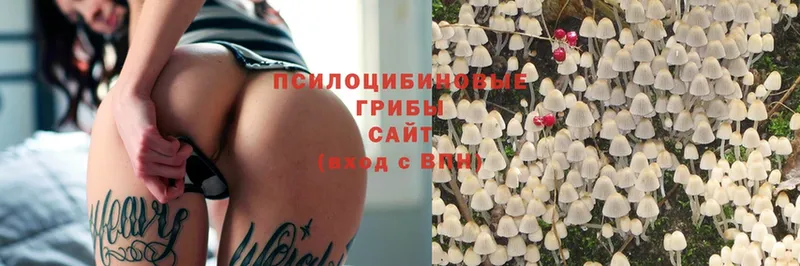 Псилоцибиновые грибы Magic Shrooms  Мосальск 